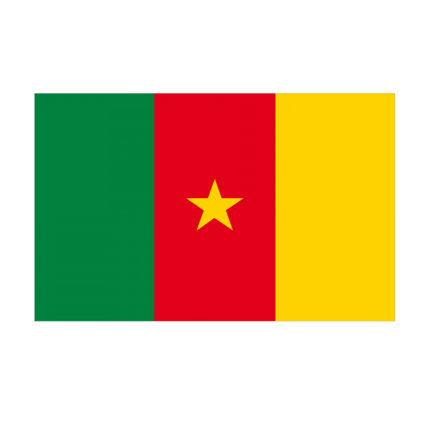 cameroon flag